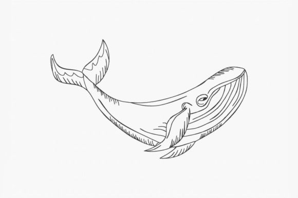 A Blue Whale Embroidery Design for Seasonal Crafting