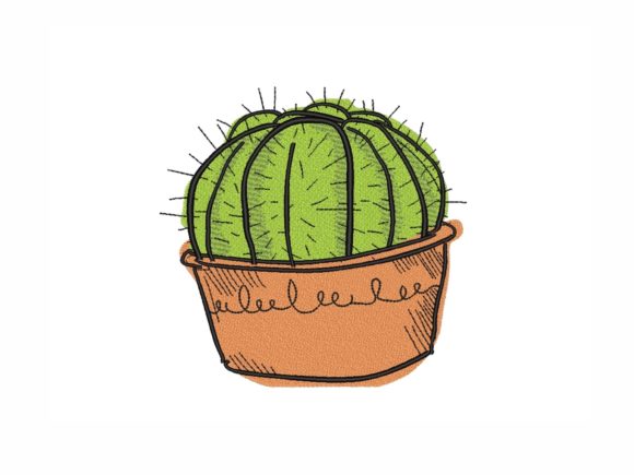 Cactus in a Pot: A Designer's Review for Boutique Sweatshirts