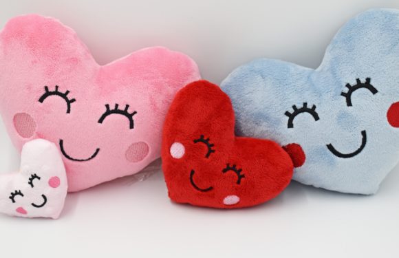 Heart Stuffie ITH Review for Craft Fairs