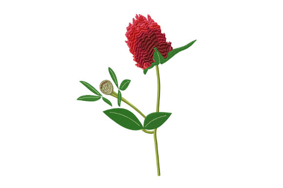 The Red Clover Flower: A Designer's Review for Holiday Collections